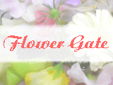 Flower Gateへ